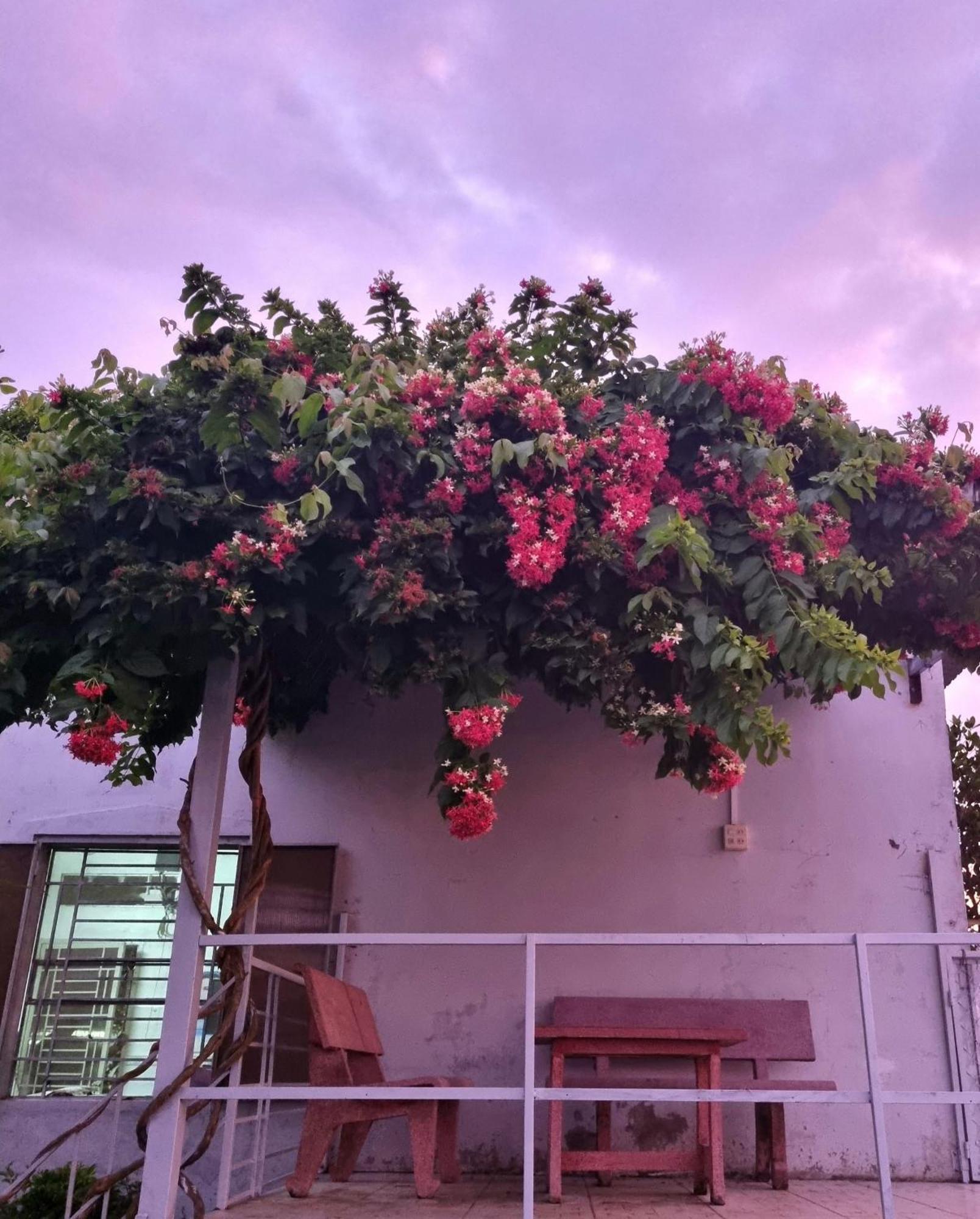 Tran Phu Riverside House Can Tho Bagian luar foto