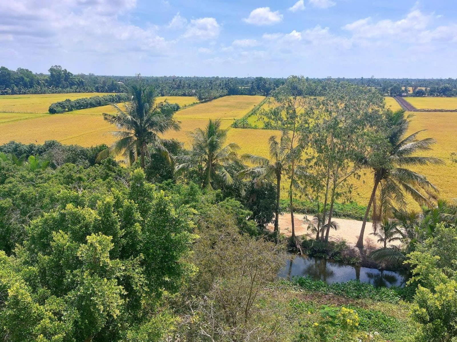Tran Phu Riverside House Can Tho Bagian luar foto