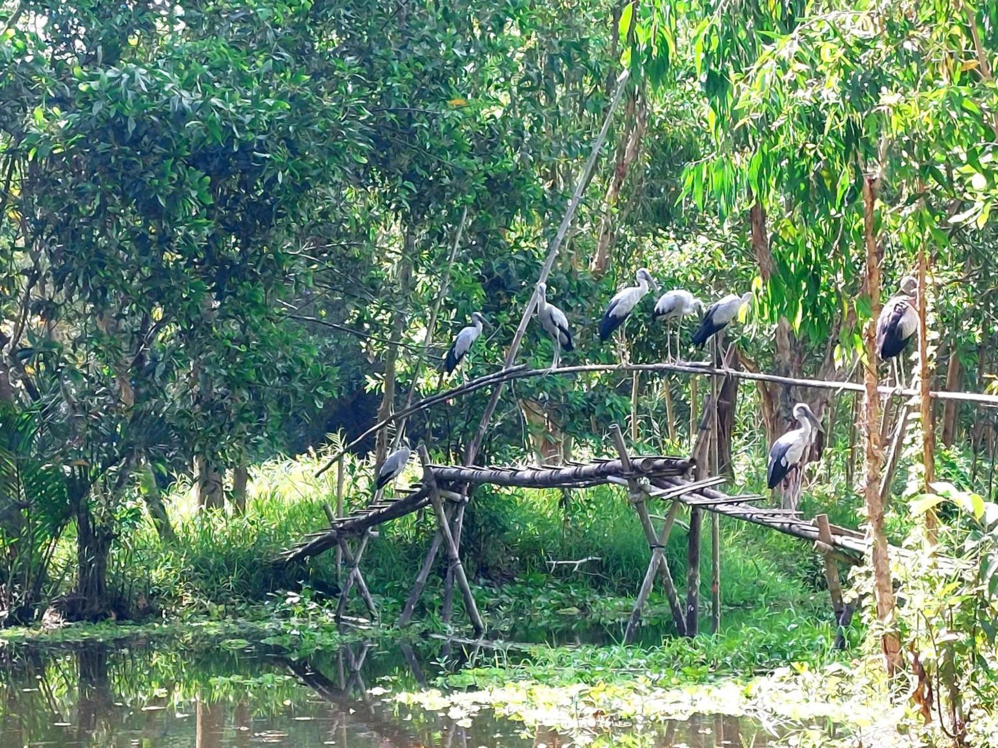 Tran Phu Riverside House Can Tho Bagian luar foto